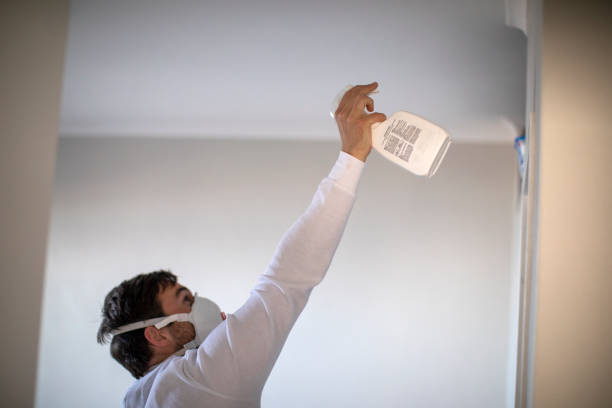 Best Mold Cleaning Services  in , OH